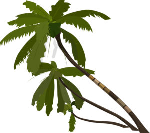 Vector Palm Trees clip art - vector clip art online, royalty free ...
