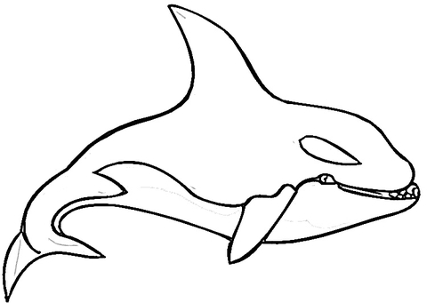 Killer Whale coloring page | Free Printable Coloring Pages