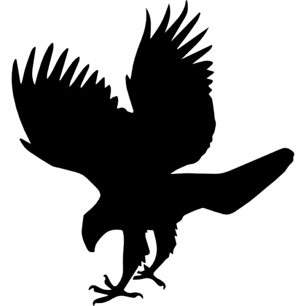 Hawk bird animal shape Icons | Free Download