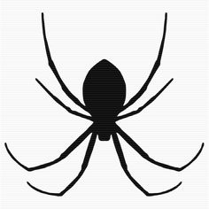 Spider, Clip art and Art