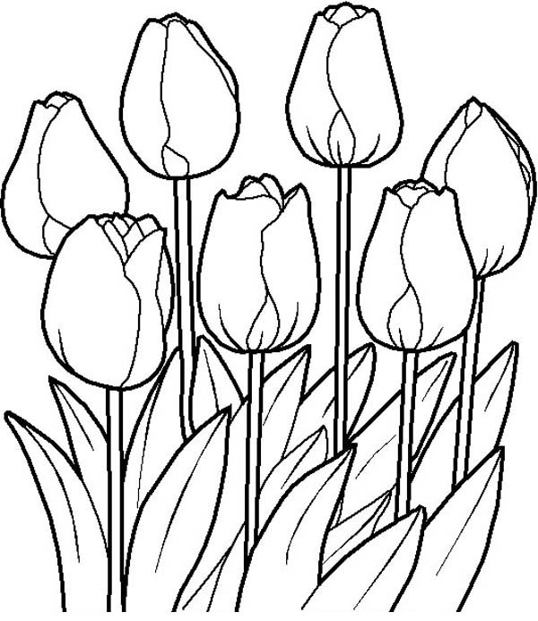 Tulips in the Garden in Flower Bouquet Coloring Page | Color Luna