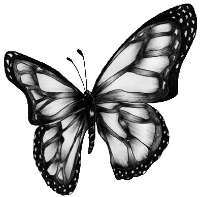 Monarch butterfly butterfly clip art at vector clip art 2 image #23077