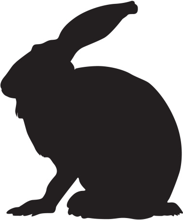 541 views Jackrabbit Clip Art, Vector Images & Illustrations