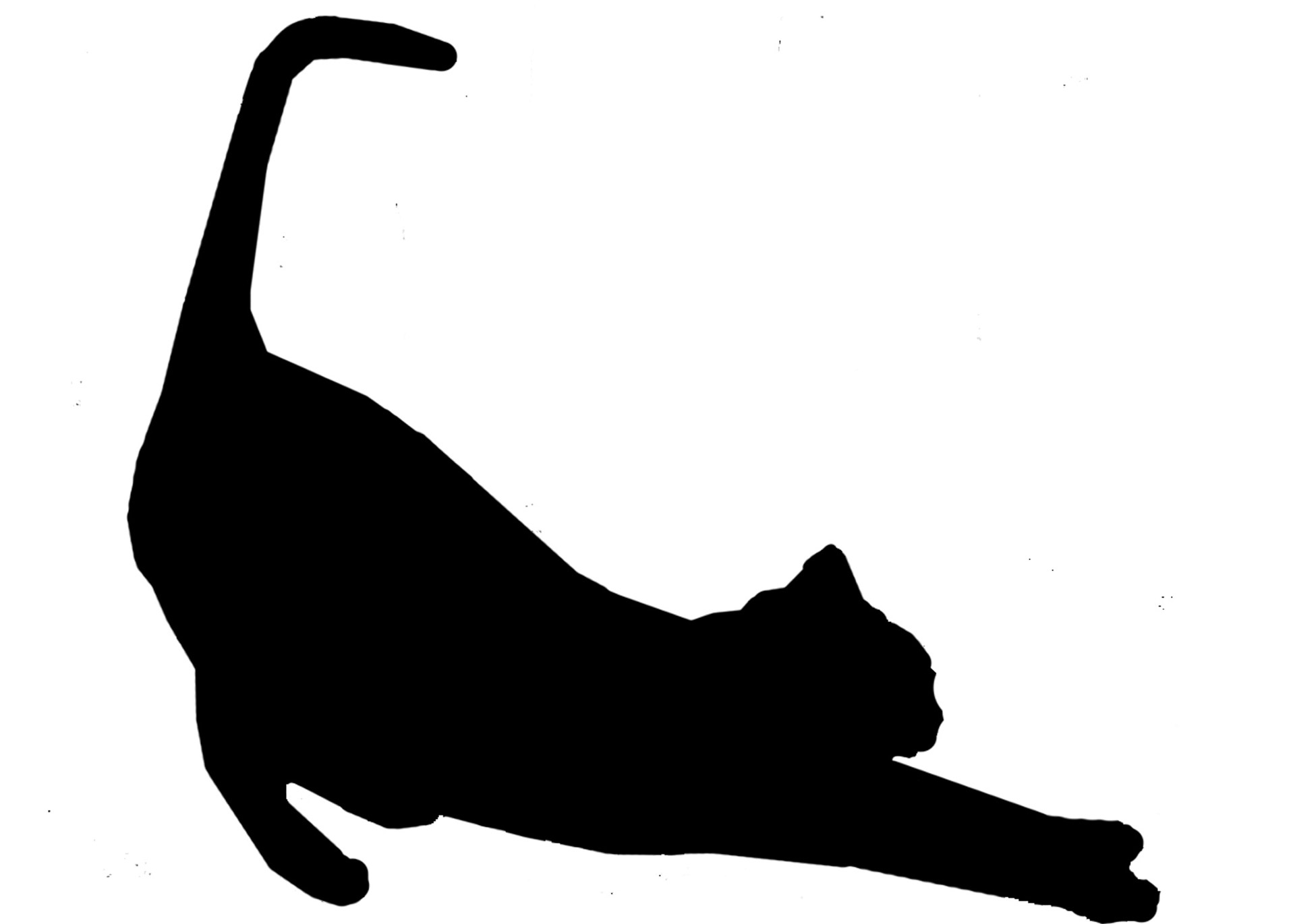 Cat Stretch Silhouette In Black Free Stock Photo - Public Domain ...