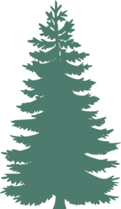 lightgreen-pine-tree-md.png