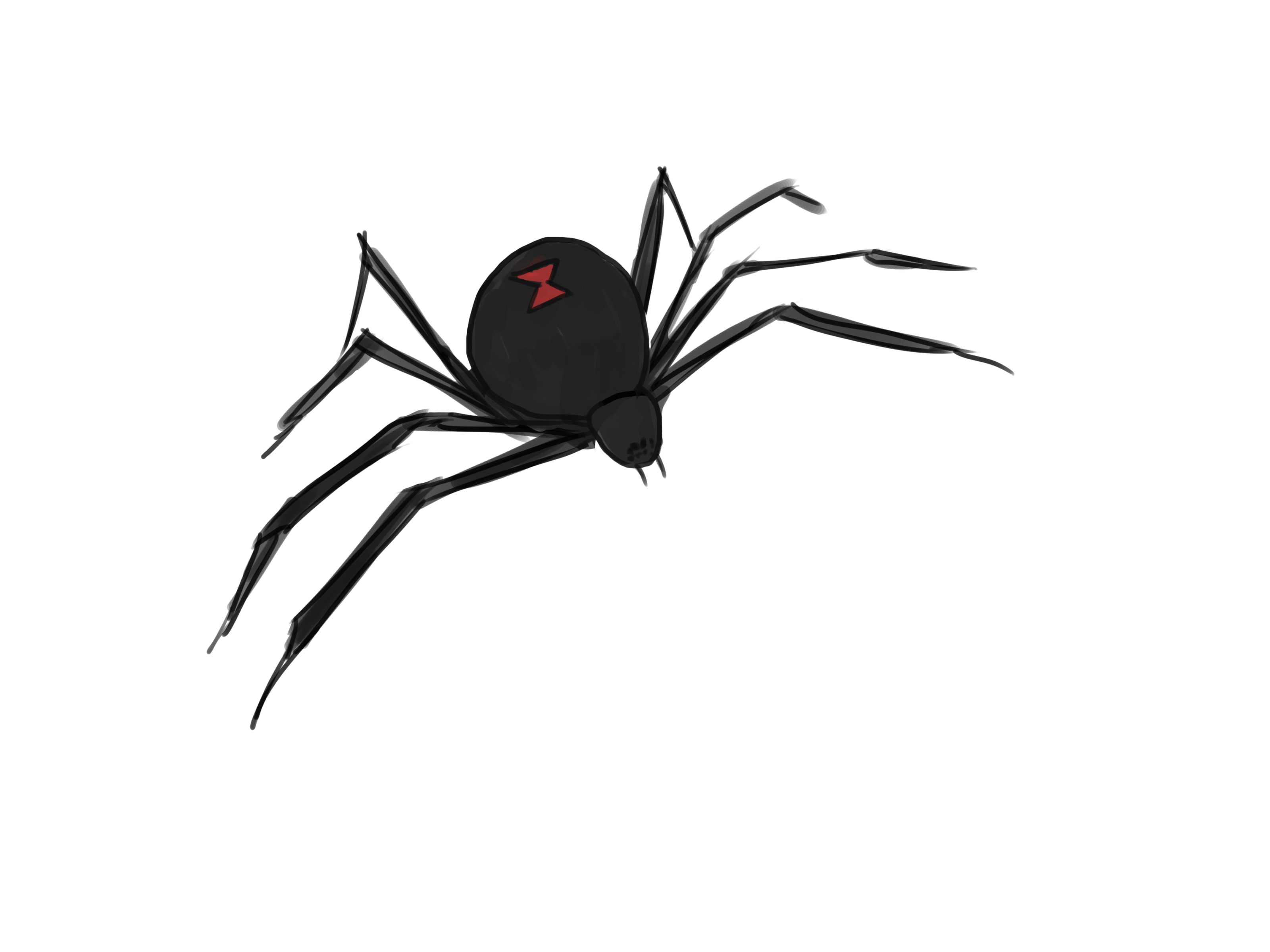 5 Ways to Draw a Spider - wikiHow