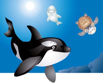 Cartoon Killer Whale Vector - Download 1,000 Vectors (Page 1)