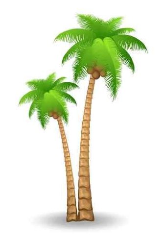 free christmas palm tree clip art - photo #20