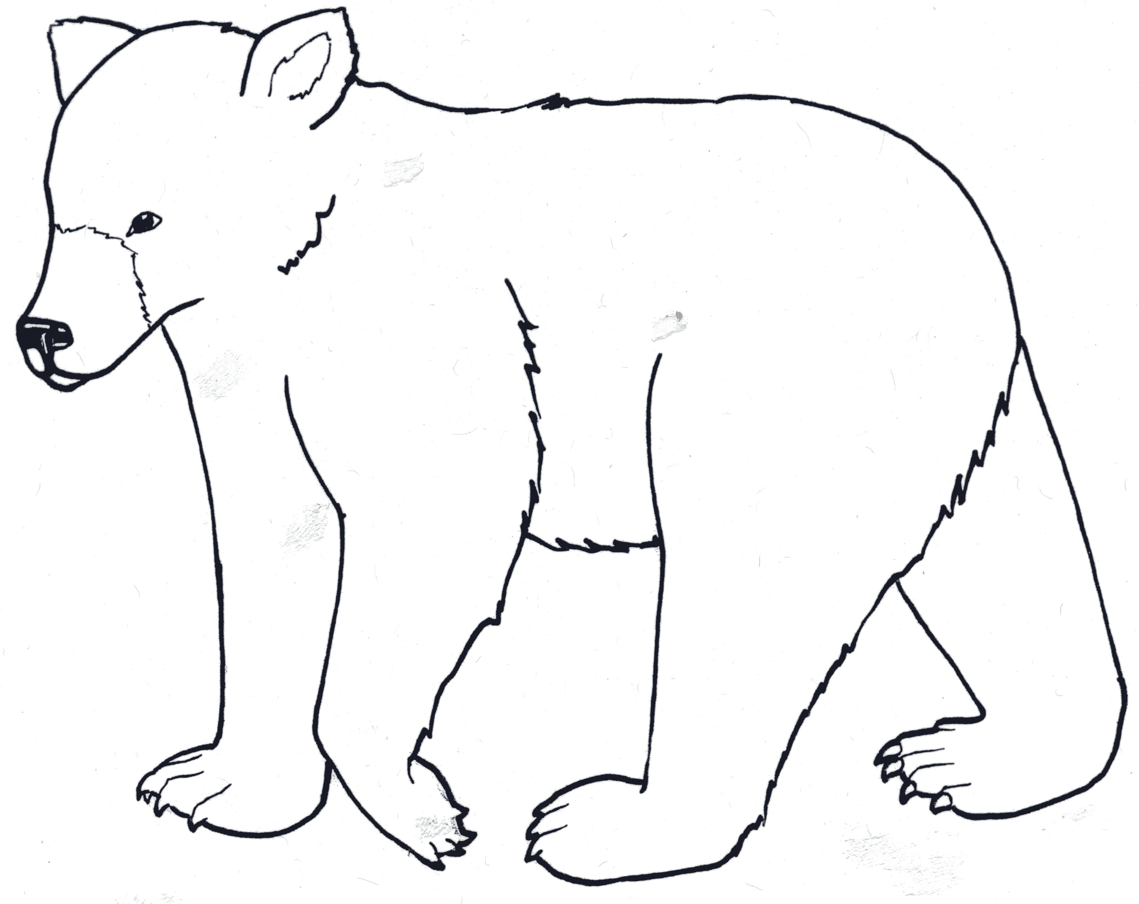 Bear Line Drawing - ClipArt Best