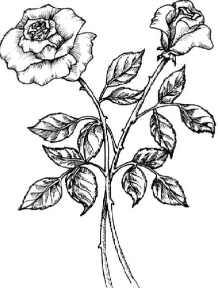 Image Result For Sketsa Desain Image Result For Sketsa Desain