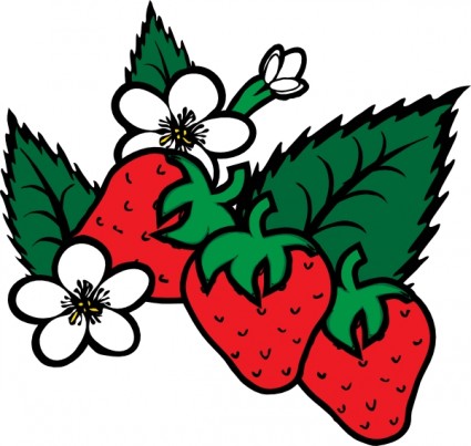 Strawberries vector clip art free Free vector for free download ...