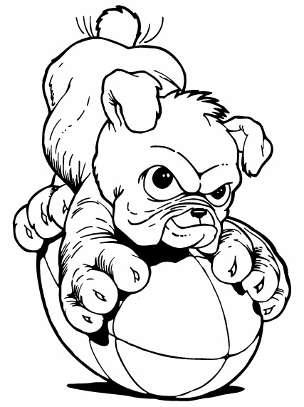 baby bulldogs coloring pages - photo #20
