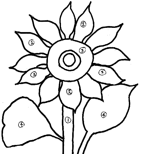 ten petals flower Colouring Pages (page 2)