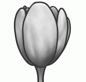 How to Draw a Tulip Flower, Tulips, Step by Step, Flowers, Pop ...