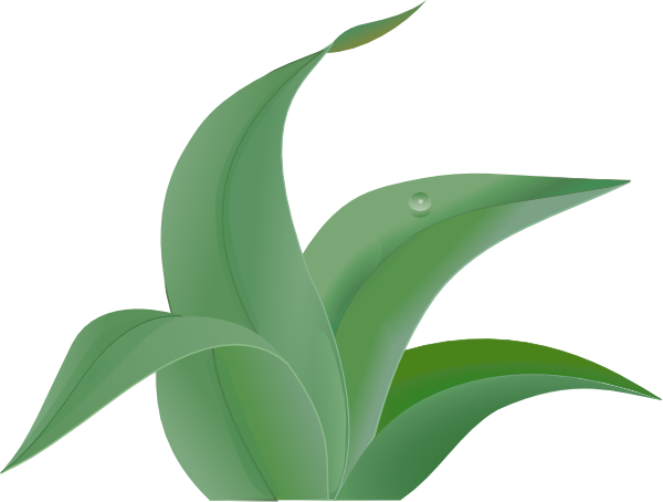 Jungle Leaf Template