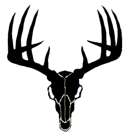 Buck Skull Clipart