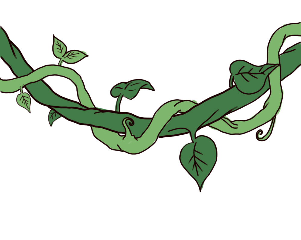 Jungle Vines Clipart