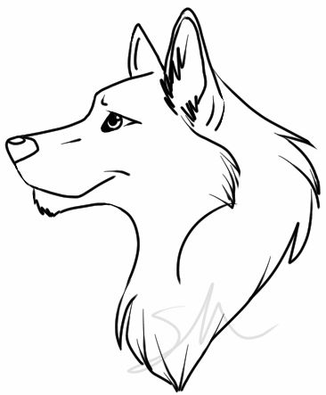 Wolf Drawing Easy