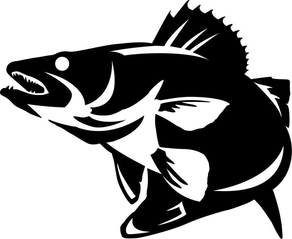 1000+ images about Walleye | Coloring pages, Trout ...