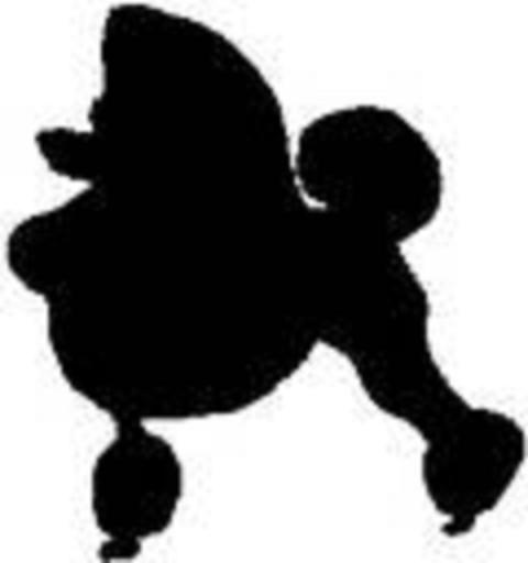 480 views French Poodle Clipart