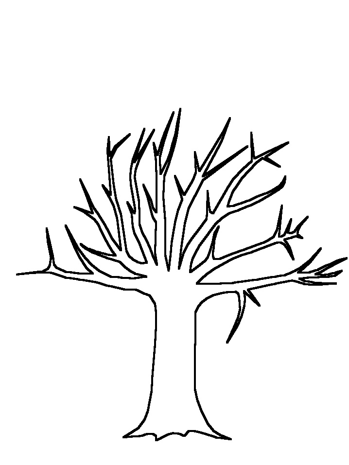 good drawing pics tree branch. tree template for kids free ...