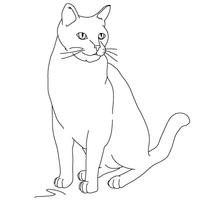 Cat Drawing For Kids - HVGJ