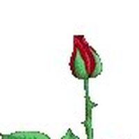 Animated Rose Pictures, Images & Photos | Photobucket