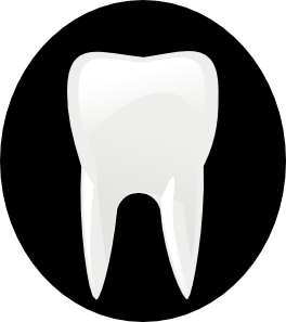 Tooth Molar clip art - vector clip art online, royalty free ...
