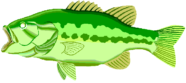 bass fish clip art | Hostted