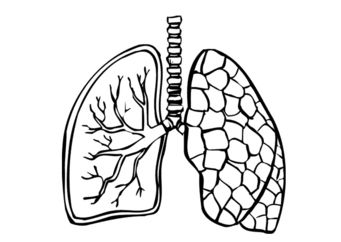 Coloring, Coloring pages and Lungs