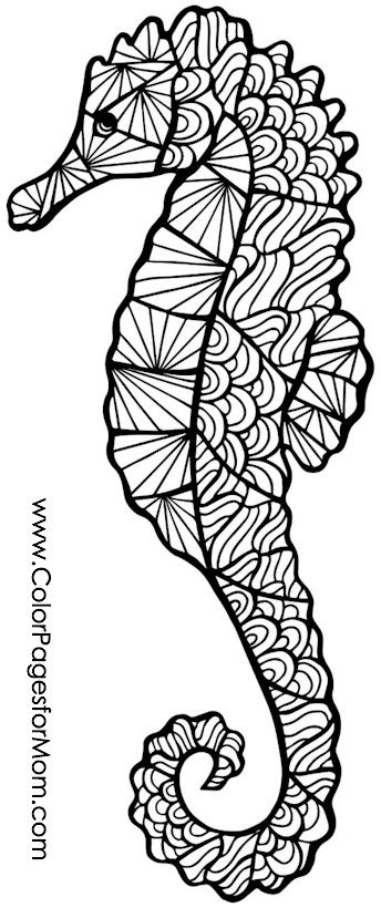 Seahorse Coloring Page Seahorse Coloring Pages Seahorse For Kid #11408