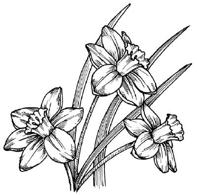 Tulips Tattoo Drawing: Real Photo, Pictures, Images and Sketches ...
