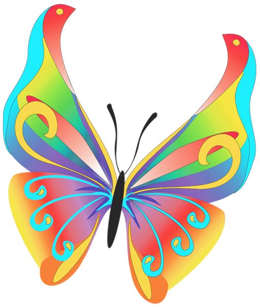 Clip art butterflies