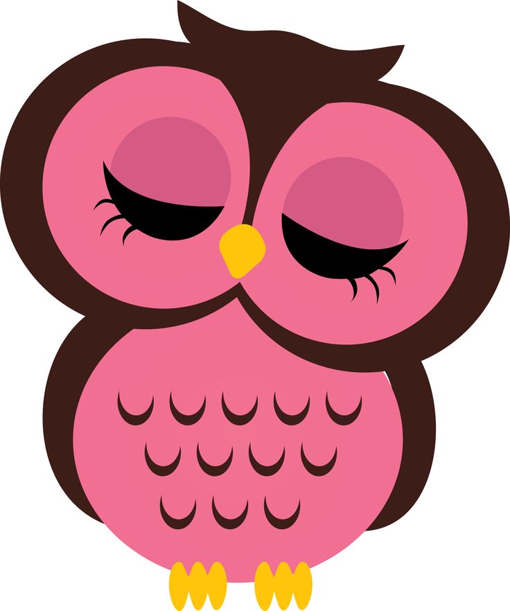 Owl Clip Art | Clip Art, Colorful ...