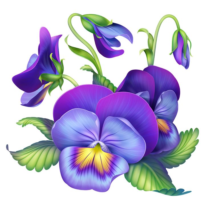 1000+ images about BRATKI | Pansy tattoo, Violet ...
