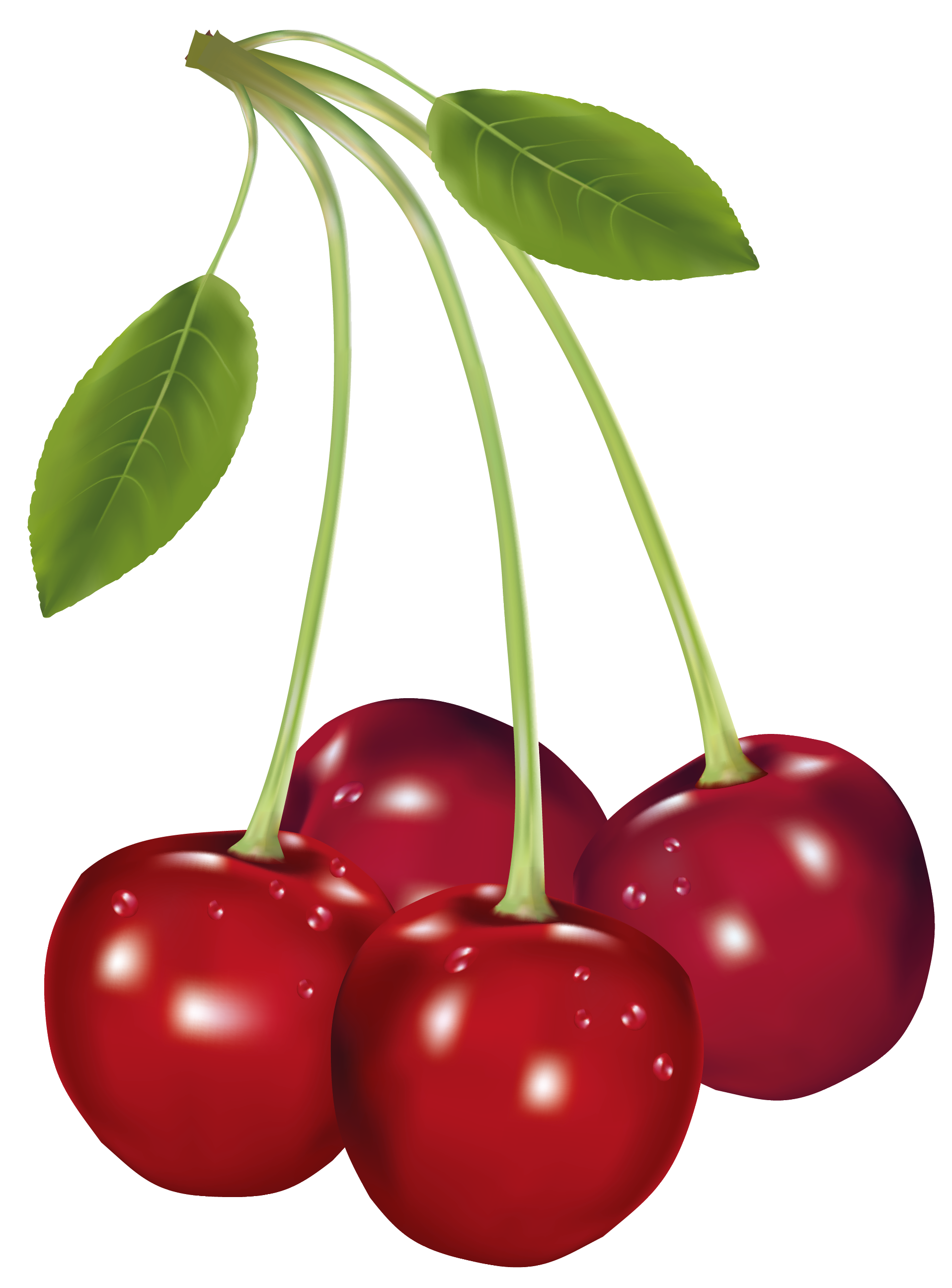 Cherries Clipart | Free Download Clip Art | Free Clip Art | on ...
