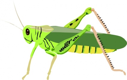 Insect Locust Vector - Download 440 Vectors (Page 1)