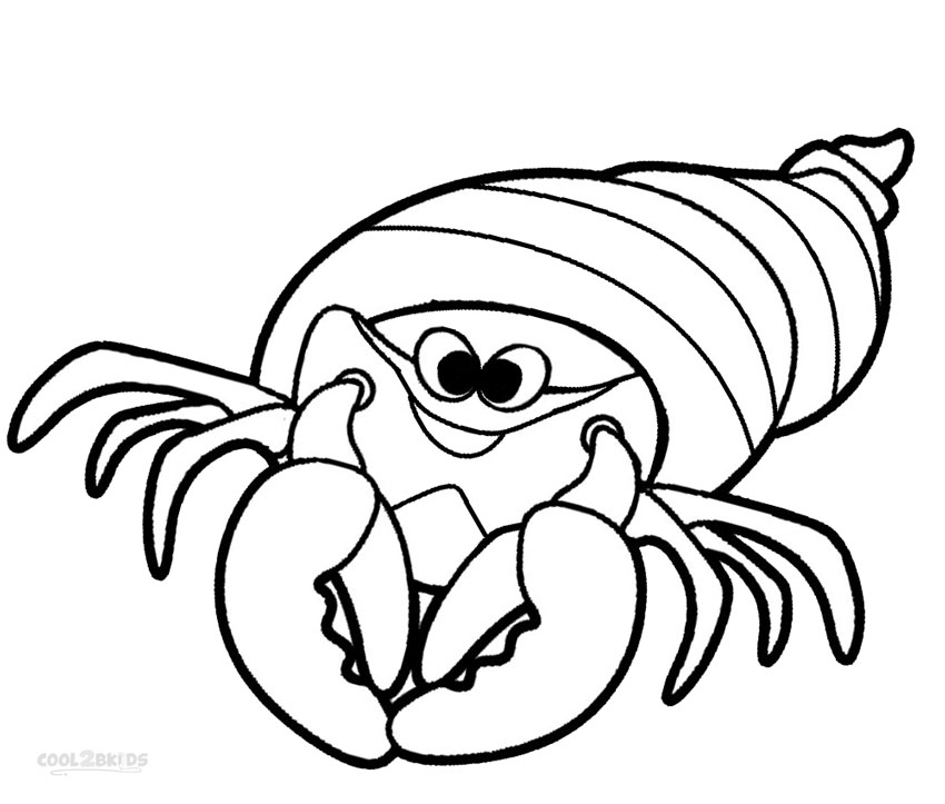 Hermit Crab Clip Art
