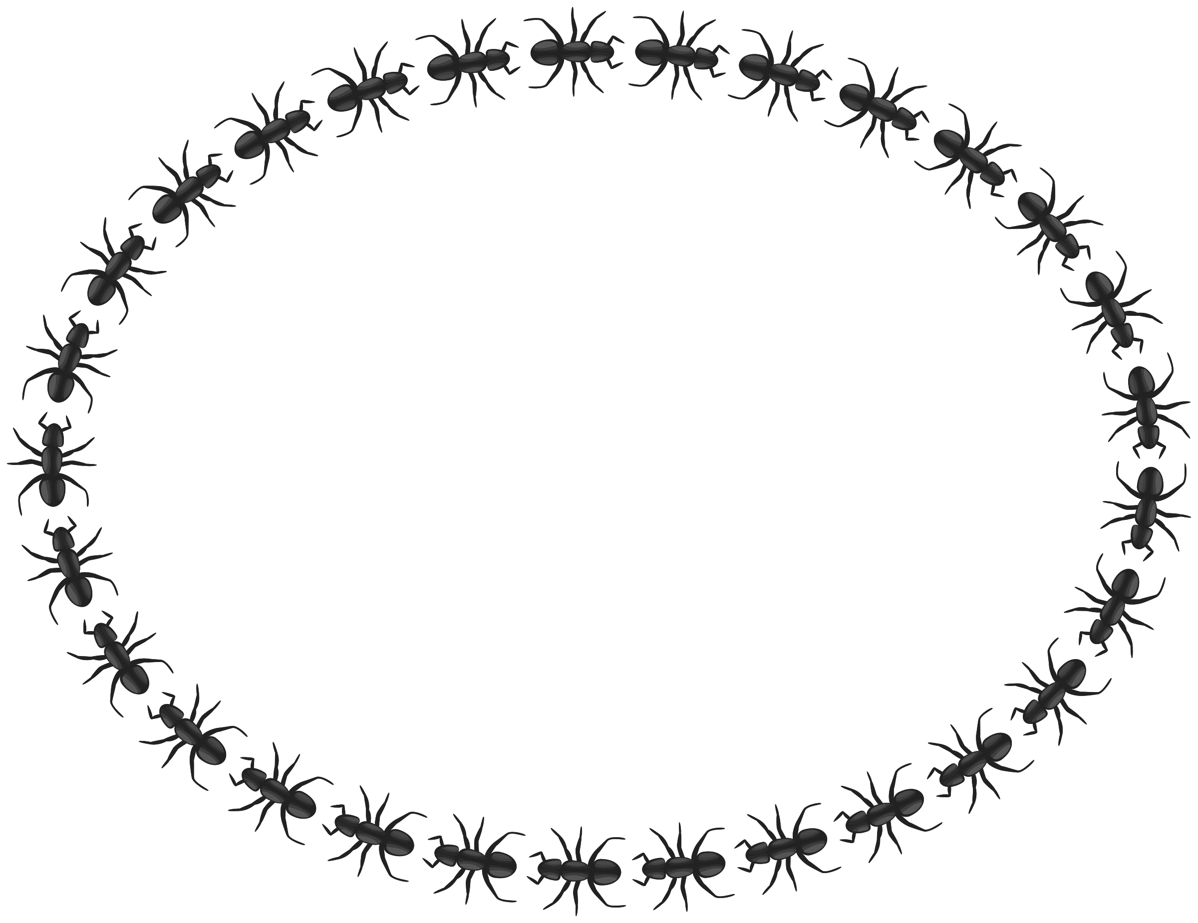 Clipart - ant border oval