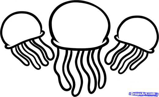 Learn How to Draw Jellyfish, Jellyfish, Fish, Animals, FREE Step ...