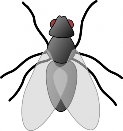 Fly Bug Insect clip art vector, free vector graphics