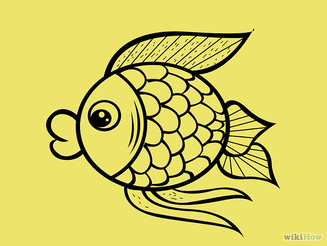 How to Draw a Cartoon Fish: 8 Steps (with Pictures) - wikiHow