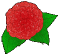 camellia-animated-1B.gif