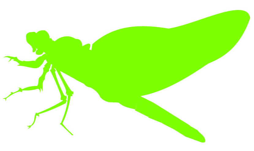 clipart dragonfly - photo #50