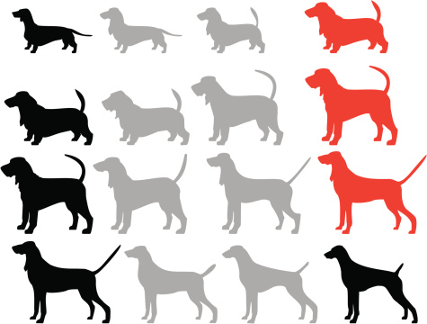 Bloodhound Clip Art, Vector Images & Illustrations