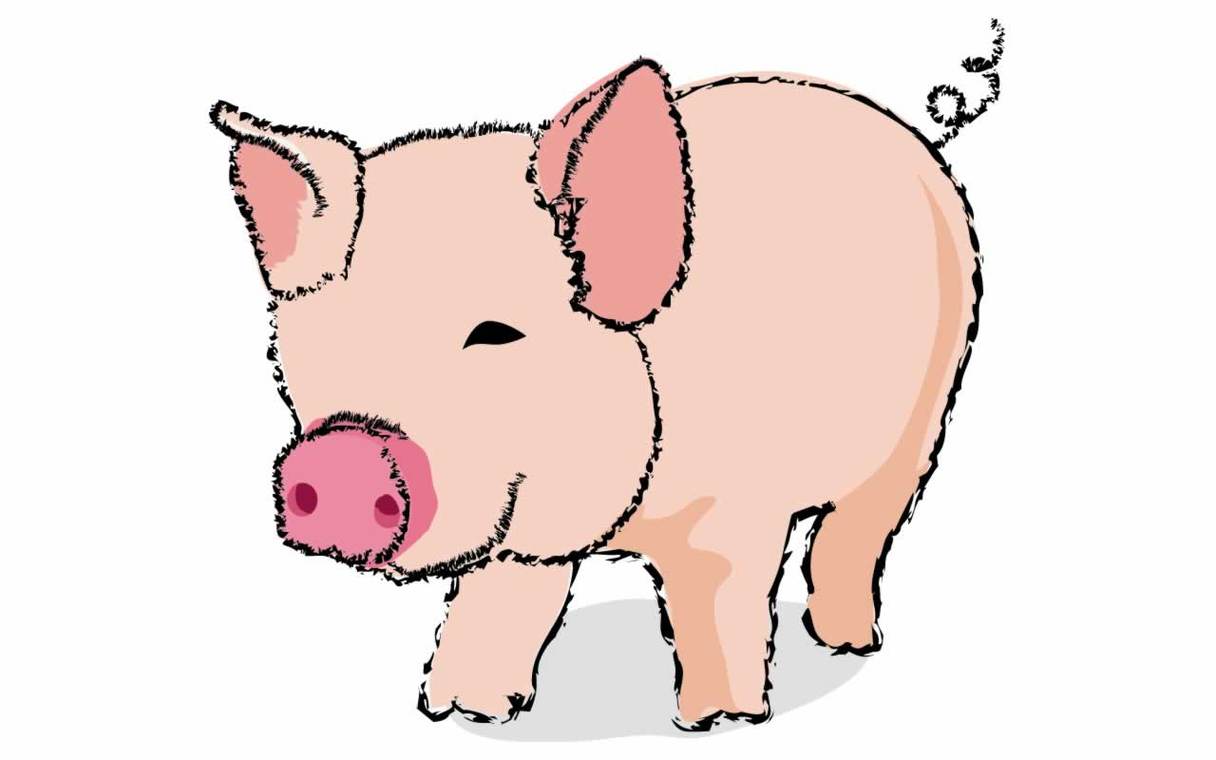 Cute Cartoon Pig Clipart - Free to use Clip Art Resource