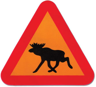 moose crossing. – a foreigners how-to guide: swedifying yourself