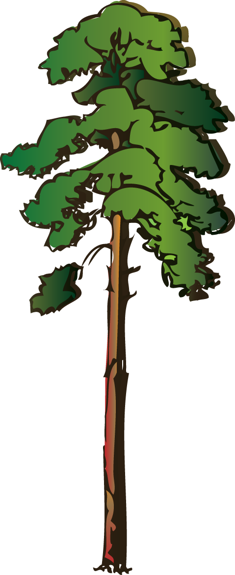 Evergreen Tree Clipart | Free Download Clip Art | Free Clip Art ...