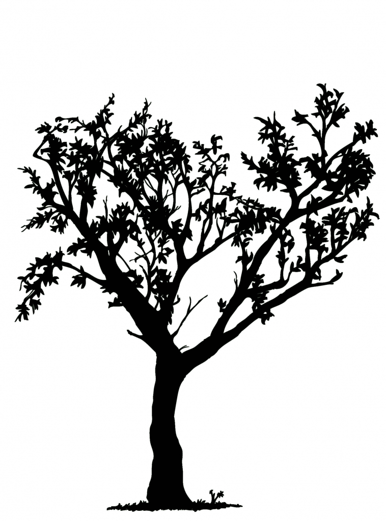 Tree Drawing Black And White - Drawing Art Library