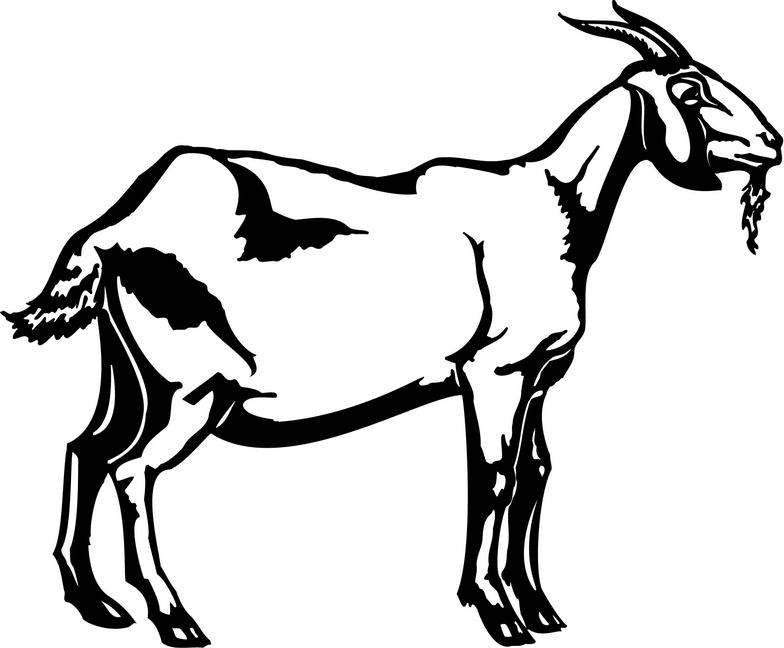 Simple goat drawing goat clip art vector clip art - Cliparting.com